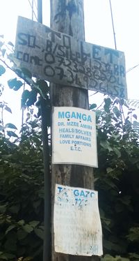 Power pole with posters